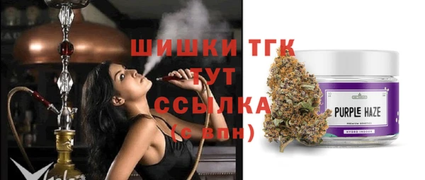 трава Алзамай