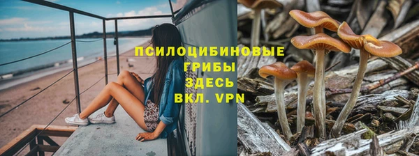 ALPHA PVP Алексеевка